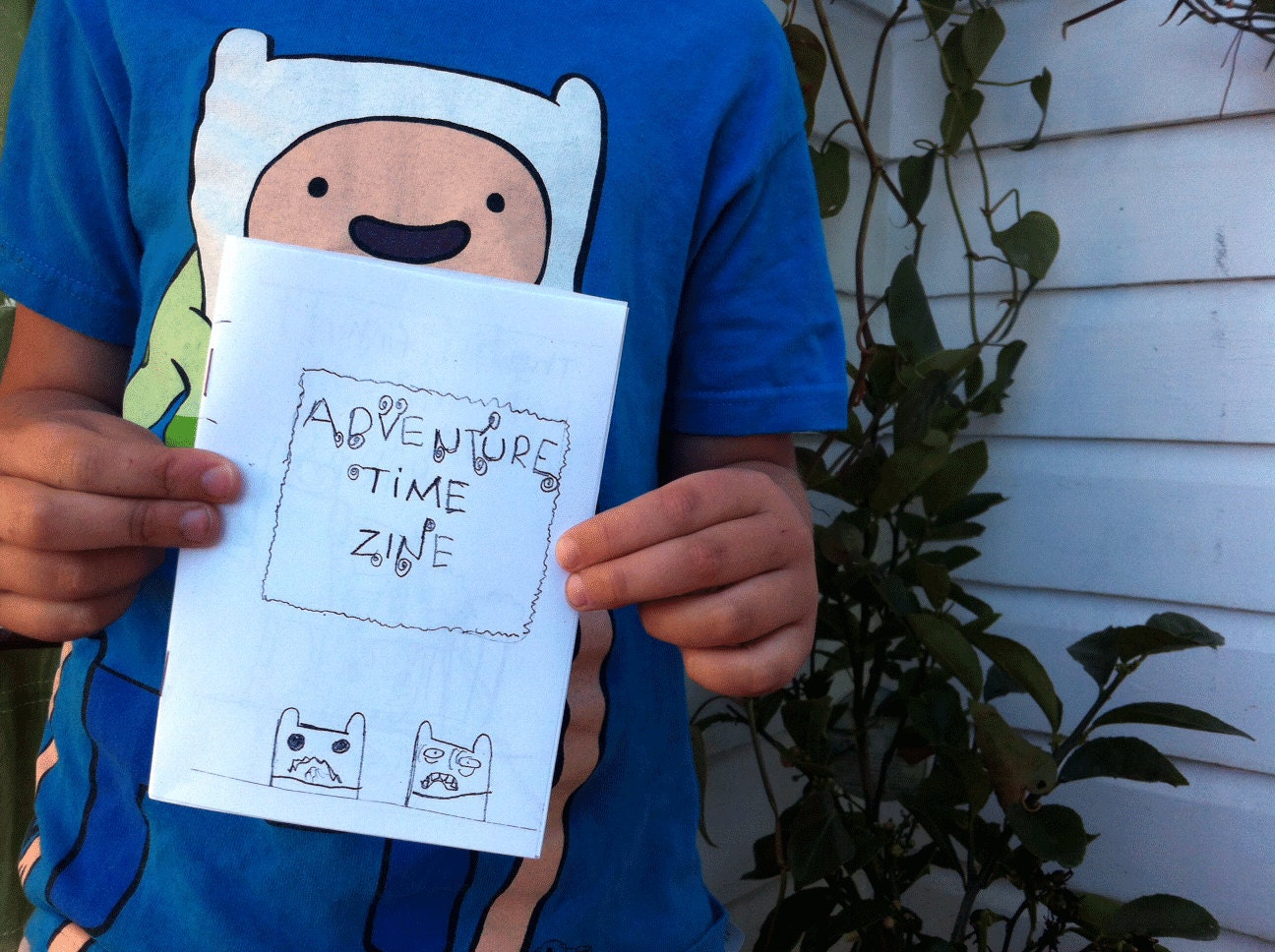 Adventure TIme zine