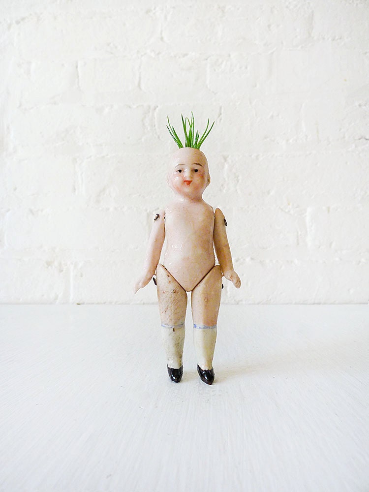 Air Plant Boy - Antique German Bisque Doll with Spike Wig