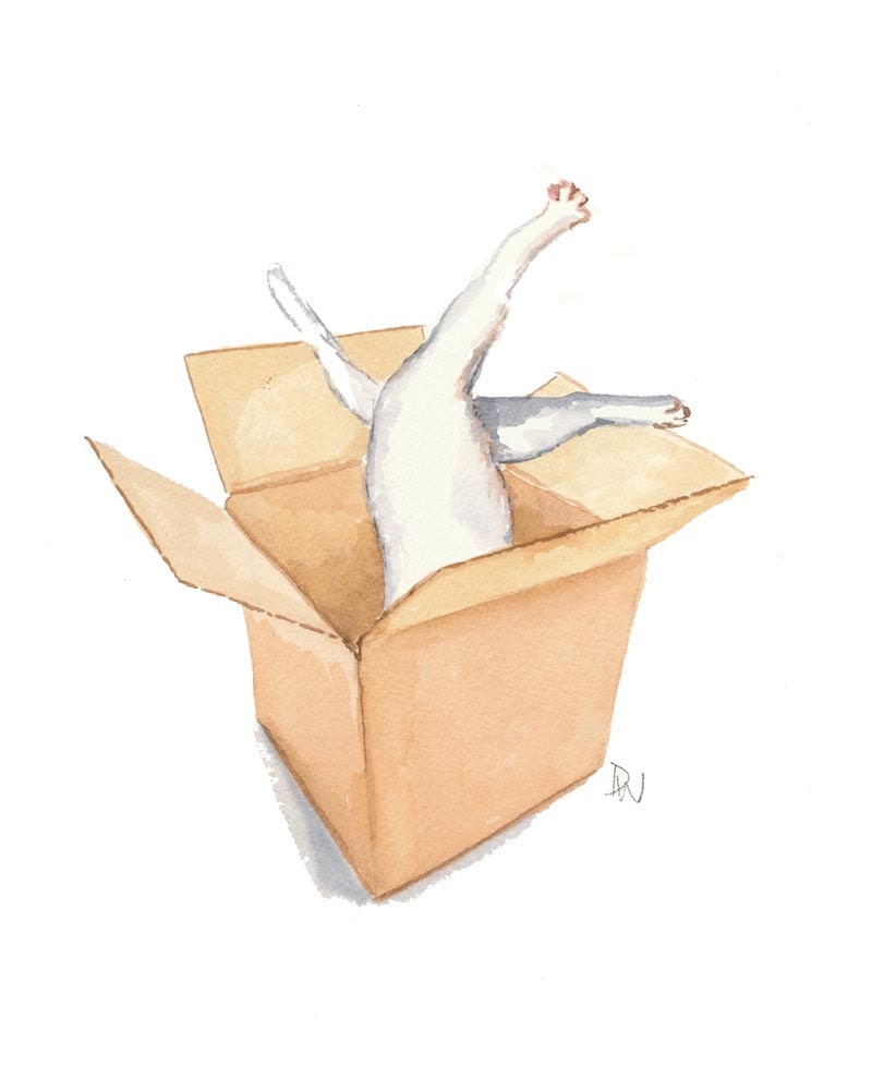 Cat in a Box Original Watercolour Painting - Funny Painting, White Cat, 8x10