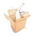 Cat in a Box Original Watercolour Painting - Funny Painting, White Cat, 8x10
