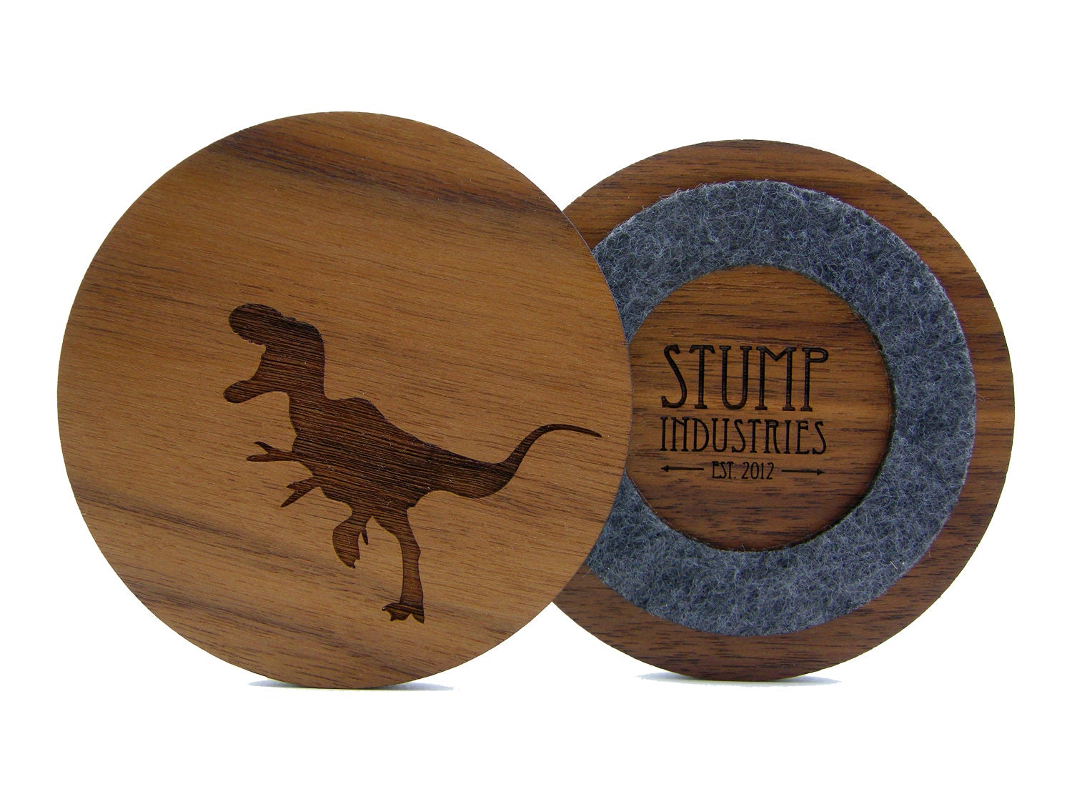 Dinosaur Coasters (Set of 4)