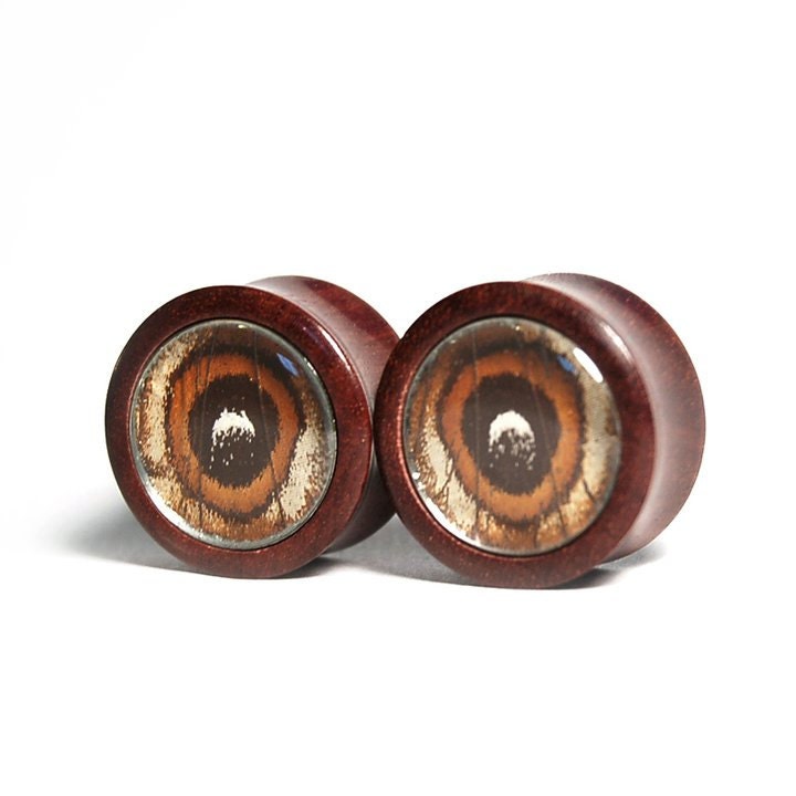 7/8" Custom Butterfly Wing Plugs