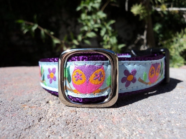 Sale Dog Collar - Country Owls - Small or Medium img