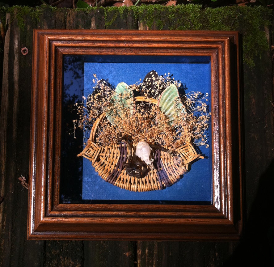 Circle of Life: Framed Mixed Media Wall Hanging with Rodent Skull, Dried Flowers and Insect Wings