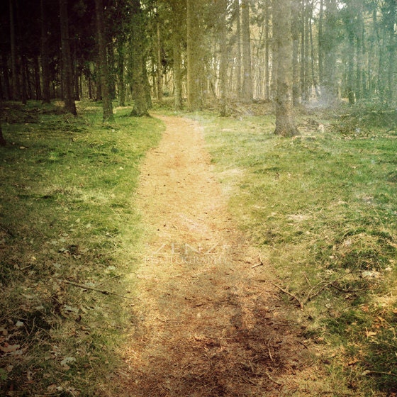Woodland art, Path, Woodland photography,  Fine art photograph print, 6x6, Rustic art, Landscape art,