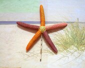 Rainbow Fingers Starfish Bobby Pin for a Beach Bride Perfect Accessory for Beachside Wedding Mermaid Hair