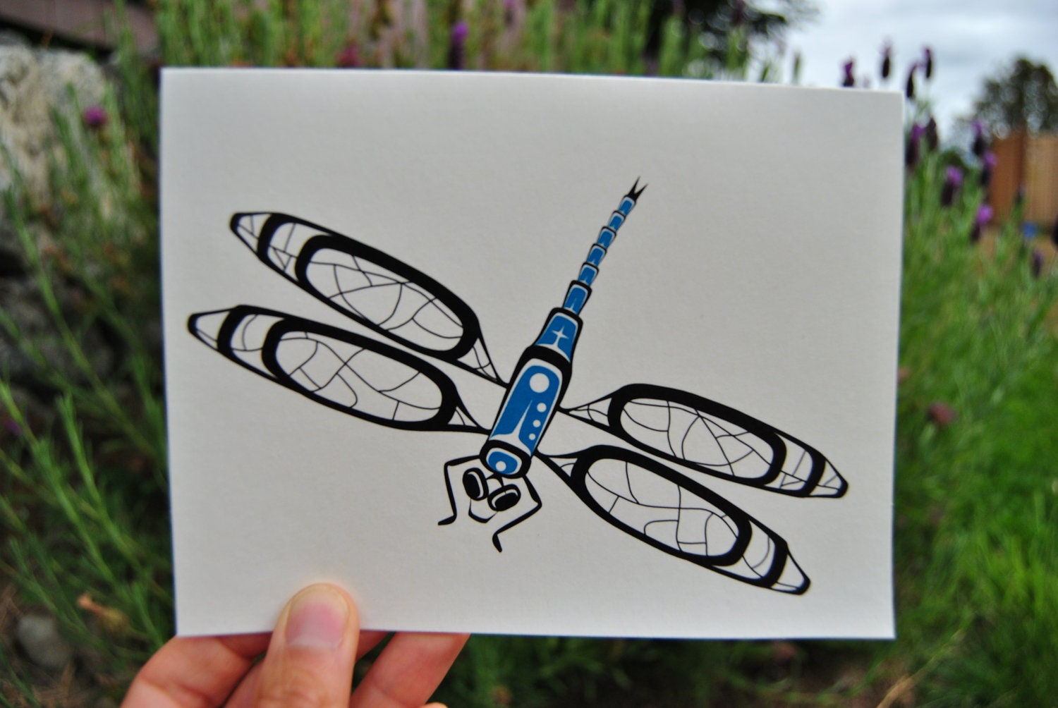 Gift Cart Dragonfly Art