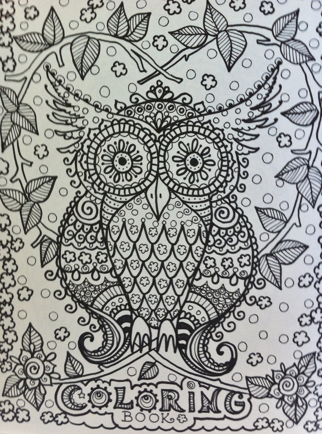 OWLS Coloring Book for you to have some fun and be the artist Original Cute Owl drawings that you color