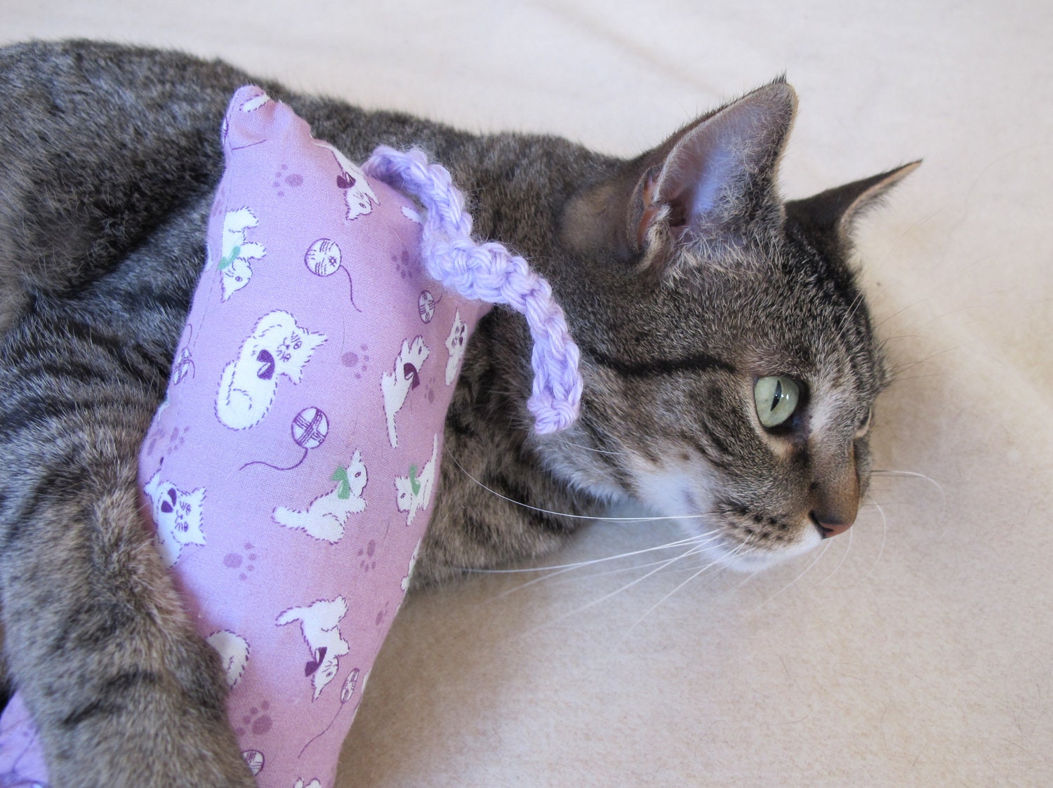 Organic Catnip Hugger Toy with Tail