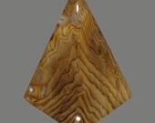 Hells Canyon Petrified Wood Cabochon, Handmade Designer Cabochons by MagicStones