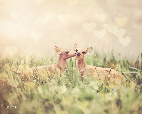Deer Photo, Dreamy Vintage Inspired,  Fawn, Nature, Baby Nursery, Home Decor, Fine Art Photography 8x10 inches - "Let's Meet In The Middle" - DreamyPhoto