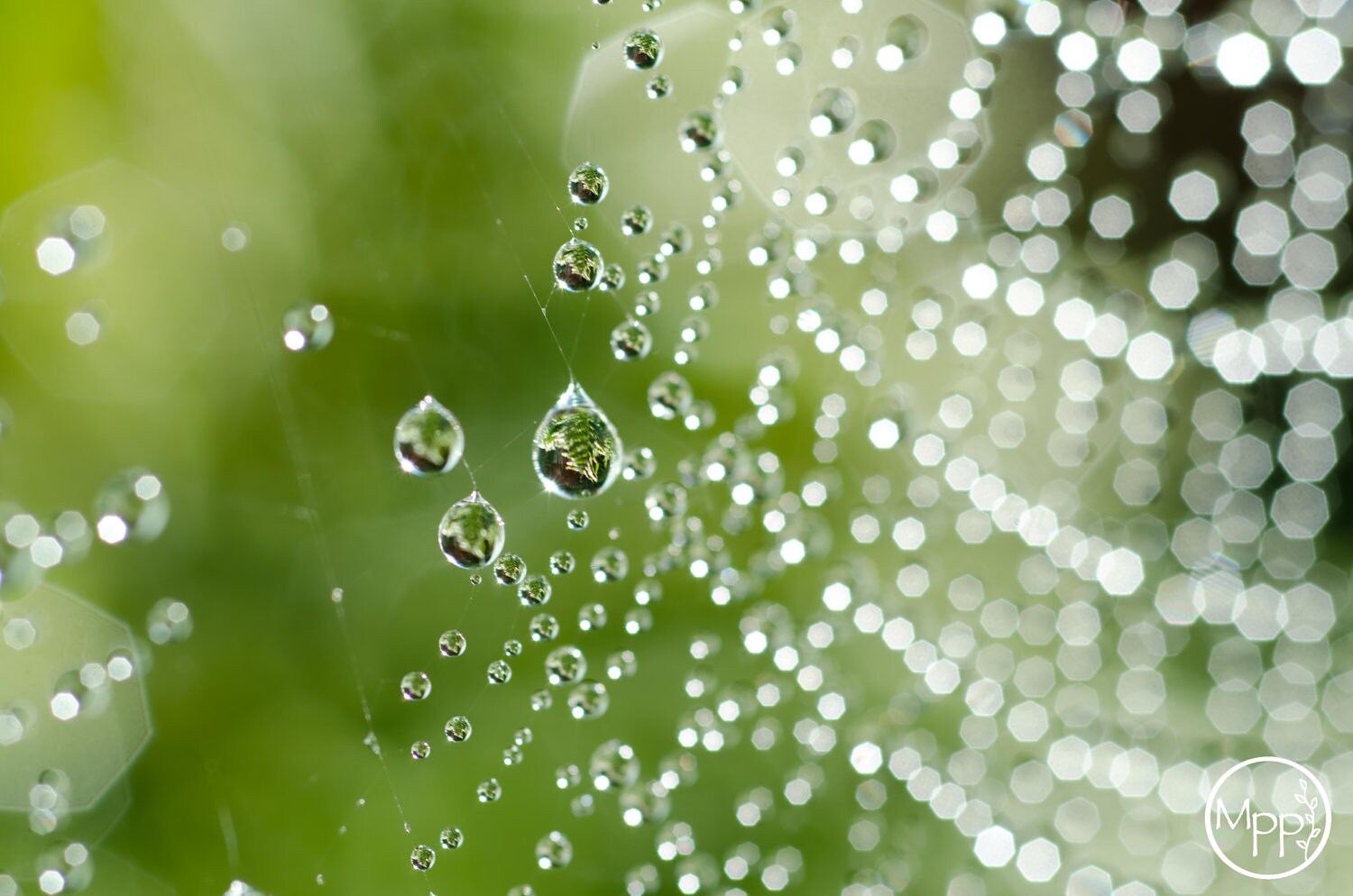 Glowing Rain