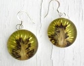Kiwi Earrings - Real Fruit Jewelry
