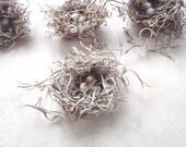 Cottage chic - Mini Birds Nests with white eggs - Set of 10 - Craft Supply