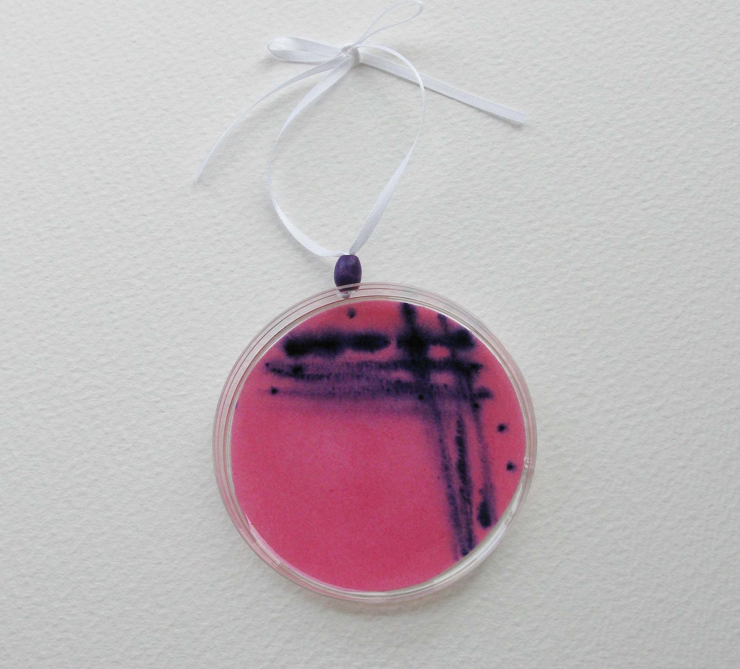 Petri Dish Ornament G11: Pink with Purple Streaked Microbes