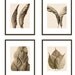 autumn leaf art, earth tone autumn leaves, fall decor - Monument 8 x 10