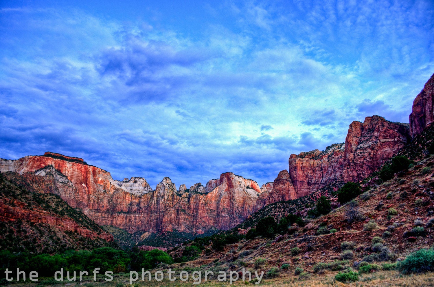 enduring strength -photograph- 8x12 - zion national park - utah