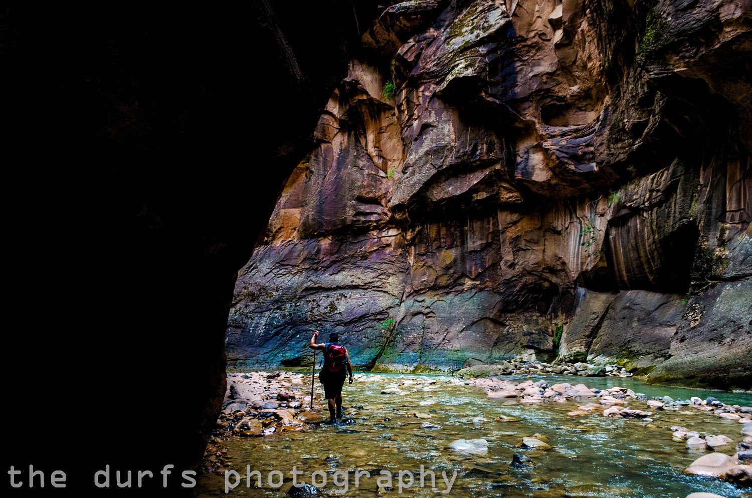 extraordinary beauty -photograph- 8x12 - -zion narrows -zion national park - utah