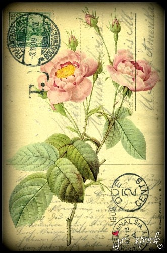 Digital Mixed Media Art: Vintage Flower 109, 5x7 print - Folk Art, Vintage art, postcard art, botanical art, flower art, pink, rose