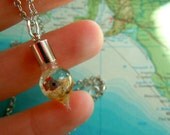 Arabian sea sample