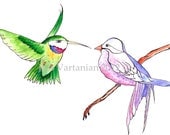 Humming Bird & Friend Watercolor illustration