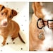 Squirrel Patrol -Custom Pet Tag in Bronze