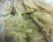 Baby Alpaca Raw Fiber 4oz Beige Spinning Fiber from Colorado alpaca