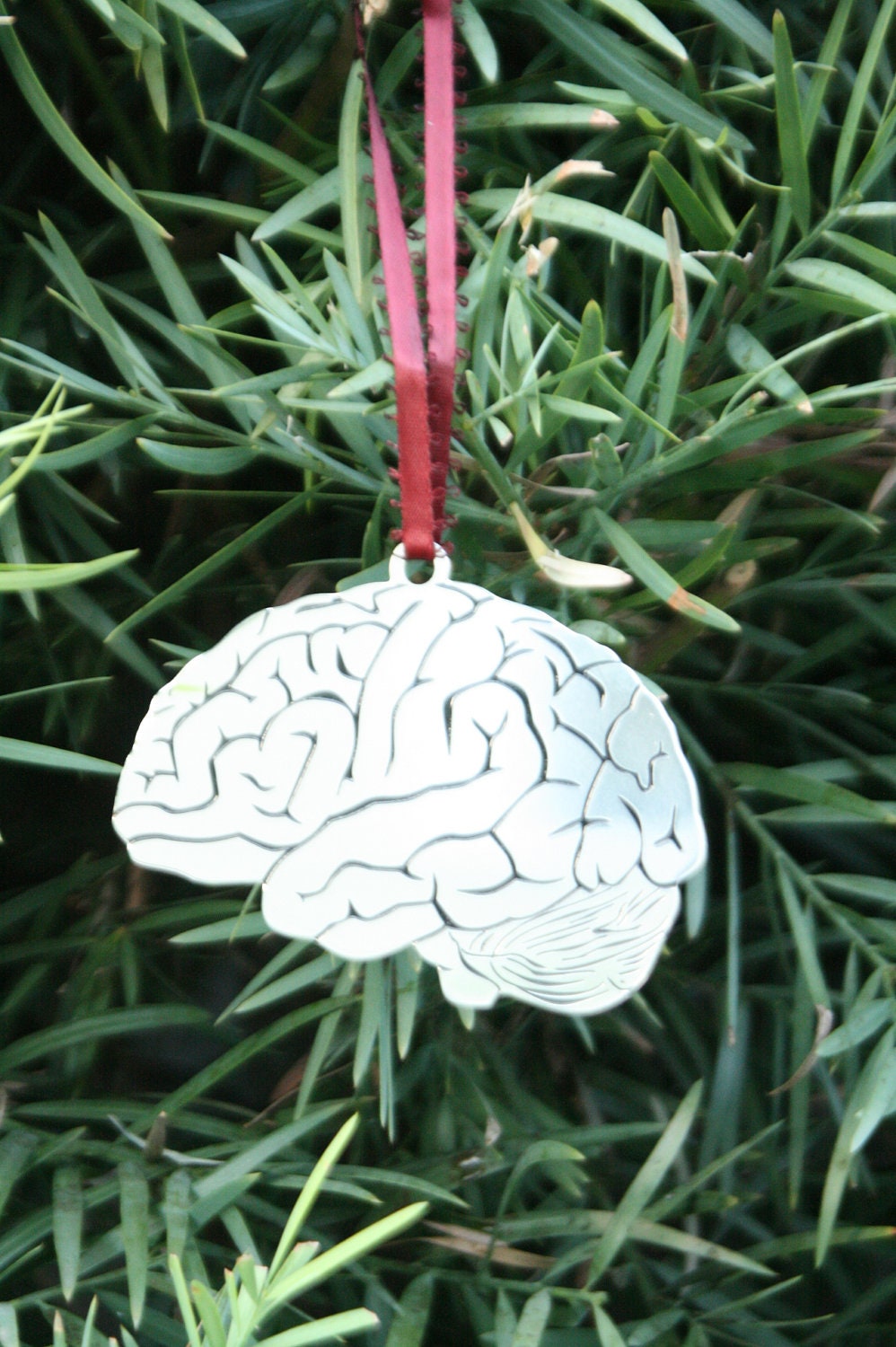 Brain Ornament