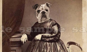 Bulldog Art Print - Anthropomorphic Altered Victorian Photo  - 5 x 7 - Mavis Schumann - Bulldog Woman