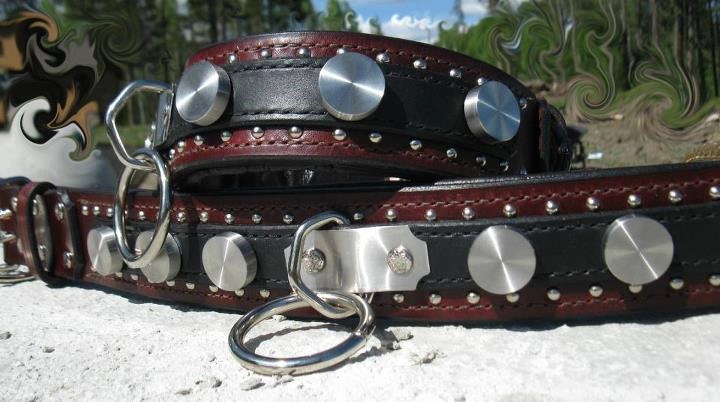 Centurian Dog Collar