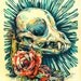 Day of the Dead Chihuahua Skull - Ofrenda a un Chihuahueno