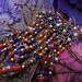 Long Indian Chandelier Earrings- SALE-Antique Copper Cobalt and Orange Indian Lampwork Glass and Crystal Chandelier Earrings