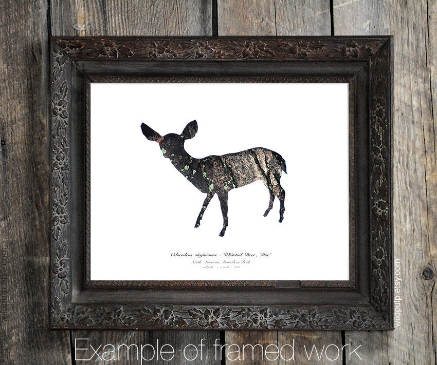 Deer Doe Silhouette In Bark : Woodland Animal - Eco Nature Decor, Animal Photography - Rustic Cabin, Lodge, Nursery Art