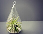 Small Water Drop Air Plant Terrarium // Choose Your Sand or Gravel Colors