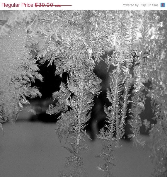 PHOTOGRAPH  FROST On WINTER Window Pane Photo, Black And White,10 x10, Maine,  Fine Art