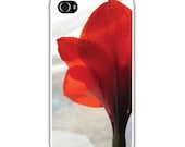 iPhone 4/4sCase, Red  Amaryllis Blossom, Loves Paris Studio, Flower iphone Cover,  Love, Macro Modern, Ready To Ship, FREE SHIPPING USA