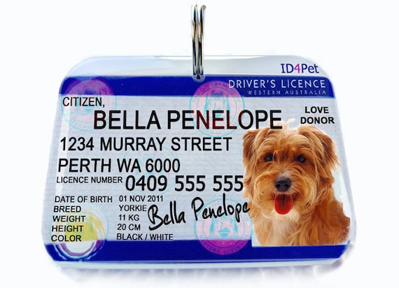 Australia New South Wales Driver Licence by ID4Pet