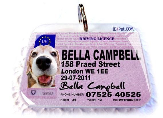 united kingdom driver licence dog driver license England by ID4Pet - double sided