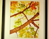 8x10 Autumn Light Photo Print - Fine Art Photography, Fall, Sunlight, Colorful Leaves