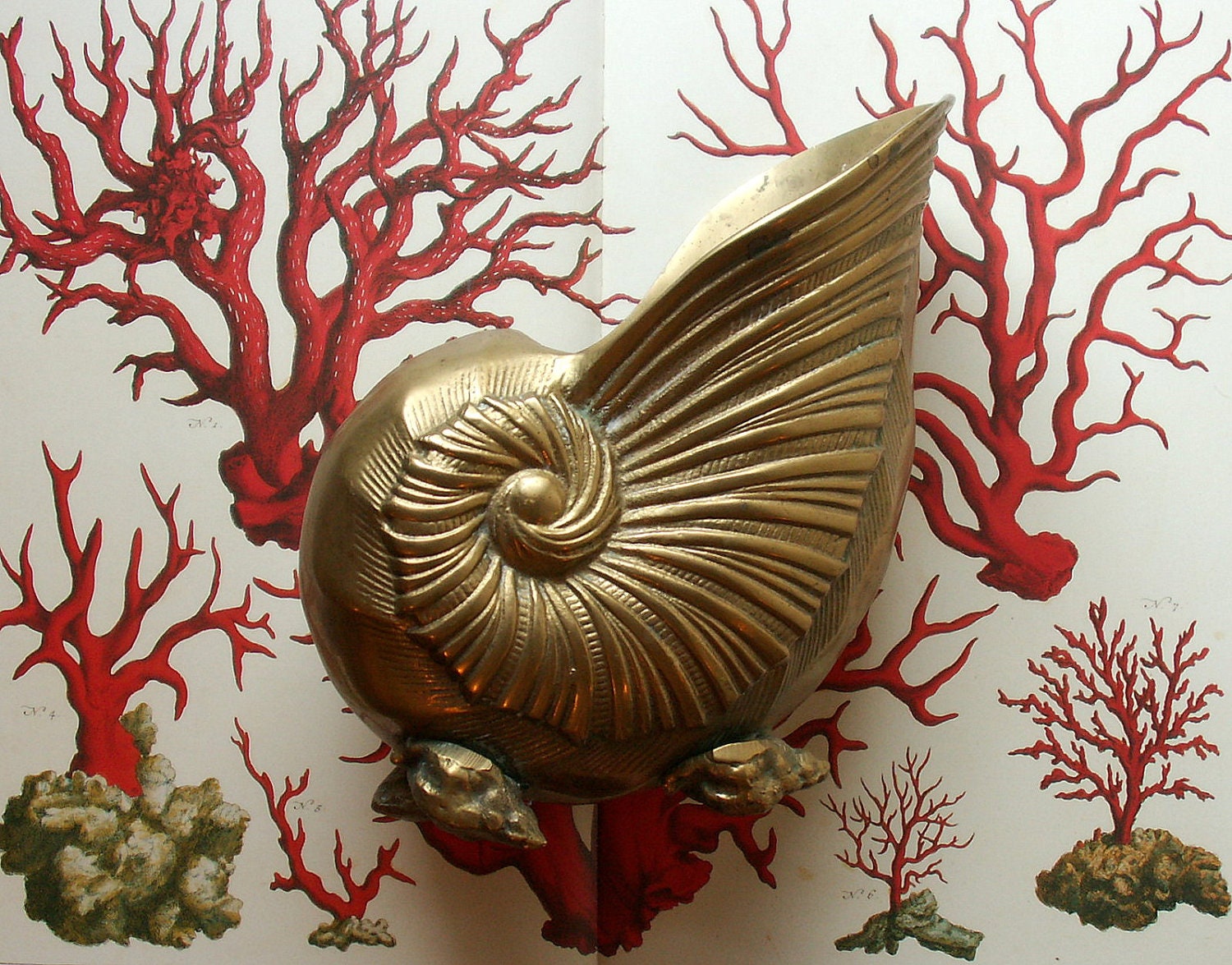 Vintage Brass Nautilus Shell Planter