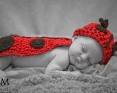Baby Lady Bug, Cuddle Critter Cape Set, Lady Bug, Baby Bowl, Egg Cover, PHOTO PROP, Ready to Ship, Newborn Photo Prop, 0 to 3 months