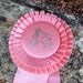 It Really Doesn't Matter That You Didn't Win This Vintage 1960's Horse Ribbon Its Pink And Chic