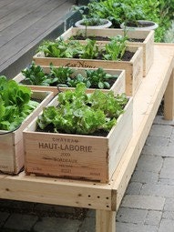 Wine Crate/Wedding Decor/Garden Box/Magazine Holder/Gauthier Lalande Wine/Cottage Chic
