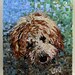 Stained Glass Mosaic Goldendoodle Golden Doodle