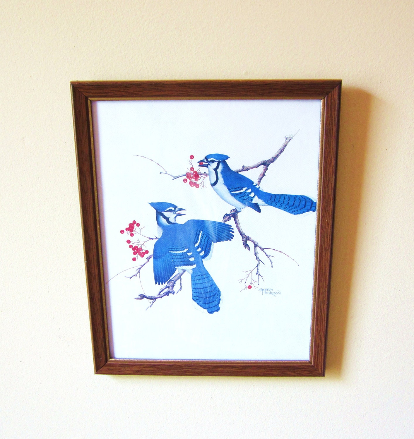 Vintage Bird Prints Framed Set of 3