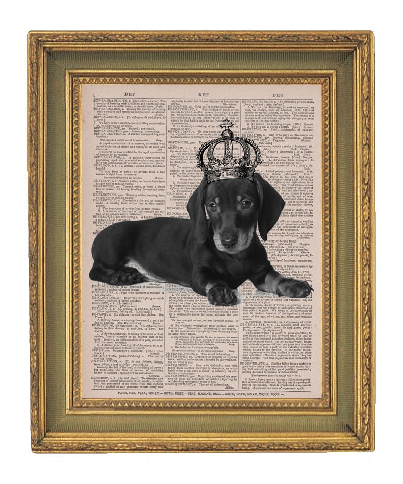 Dachshund Puppy in A Crown Vintage Dictionary Print 8x10