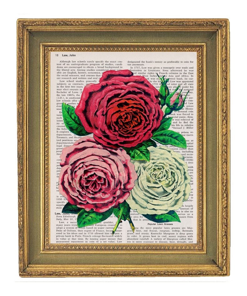 Roses - Vintage Encyclopedia Book Print-  7x10
