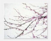 Winter Home Decor, Snow Pictures, Nature Photography, Soft Pink White Purple, 8x10 Snow Photo, Winter Wedding, Holiday, Christmas. - LisaRussoFineArt