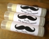 Dude, My Lips are Chapped All Natural Men's Lip Balm