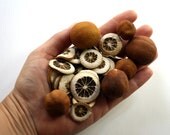 dried mini - oranges and slices...perfect for organic christmas decoration... to be used in pomanders or potpourries...